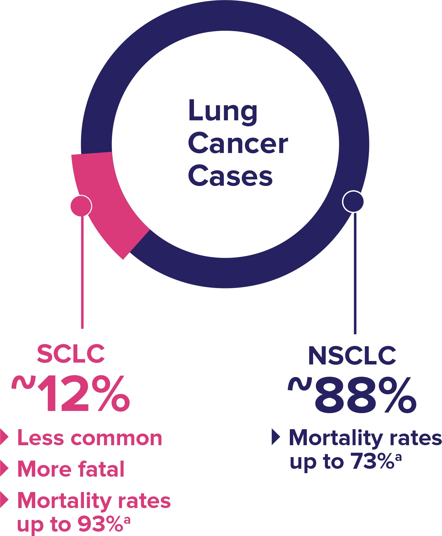 Primary Classifications and Proportion of Lung Cancer Cases Pie Chart